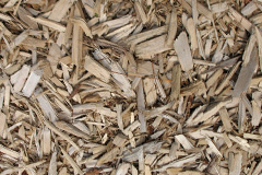 biomass boilers Scarva